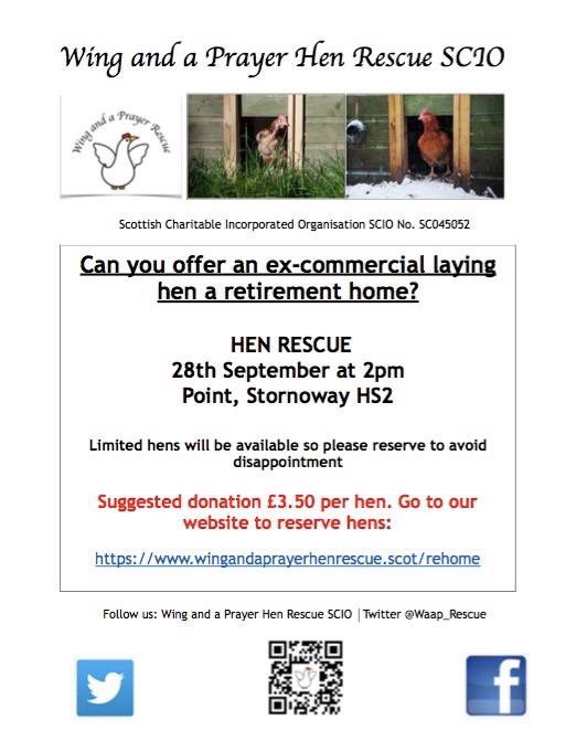 We’re bringing hens to Stornoway! Please share #rescuehens #happyhens #animalrescue #thestornowayway #scottishcharity #theextramile @Sygazette