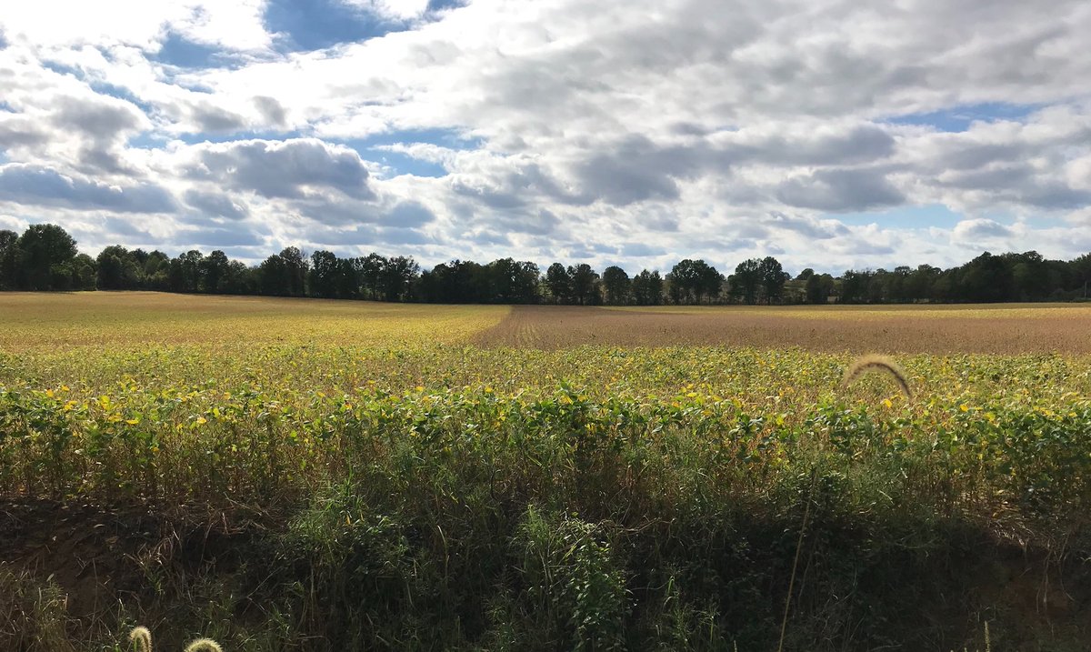 Love getting pictures from customers of Syngenta fungicides hard at work!! #QuadrisTopSBX