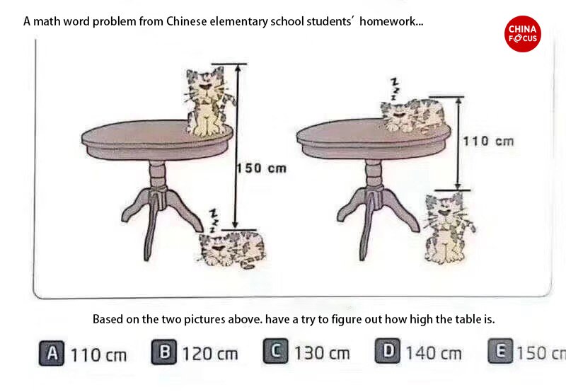 What is the height of the table puzzle cat and tortoise in inches image
