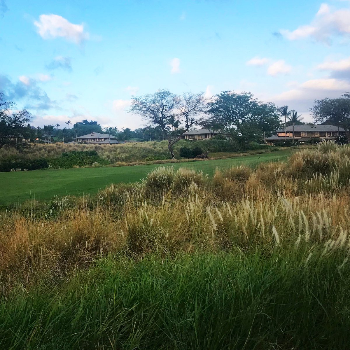 MaunaKeaGolf's tweet image. Rough day? Blue skies &amp;amp; 360 views always make it better... 

#motivationmonday #maunakeagolf #hapuna #hawaii