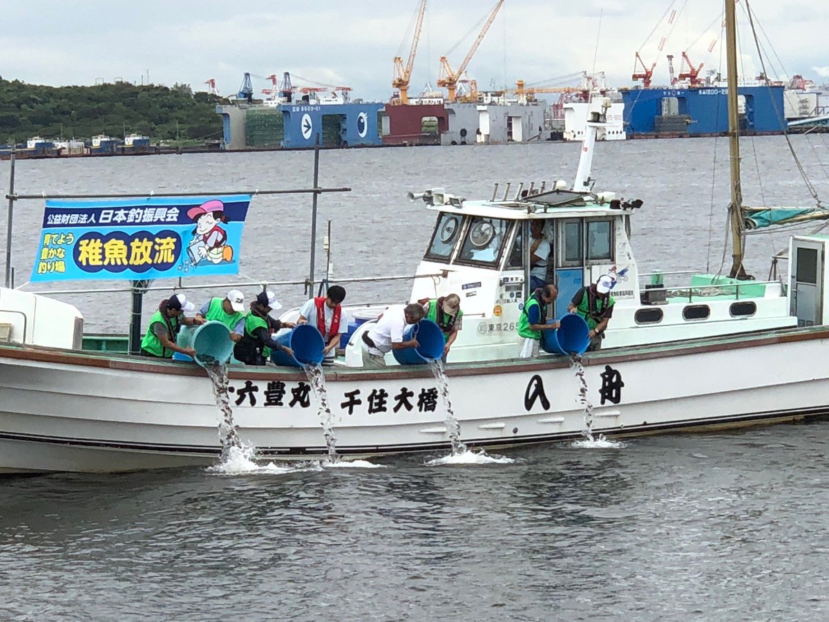 若洲海浜公園 公式 Pa Twitter 先ほど 公益財団法人 日本釣振興会 様ご協力のもと海釣り施設前で稚魚放流を行いました 今年放流したのは カサゴです 大きく育ってくれたらうれしいです 数か月後カサゴの釣果が増えたらそれはきっと放流した子たちです笑 稚魚 若洲海浜公園 公式 Pa Twitter 先ほど 公益財団法人 日本釣振興会 様ご協力のもと海釣り施設前で稚魚放流を行いました 今年放流したのは カサゴです 大きく育ってくれたらうれしいです 数か月後カサゴの釣果が増えたらそれはきっと放流した子たちです笑 稚魚