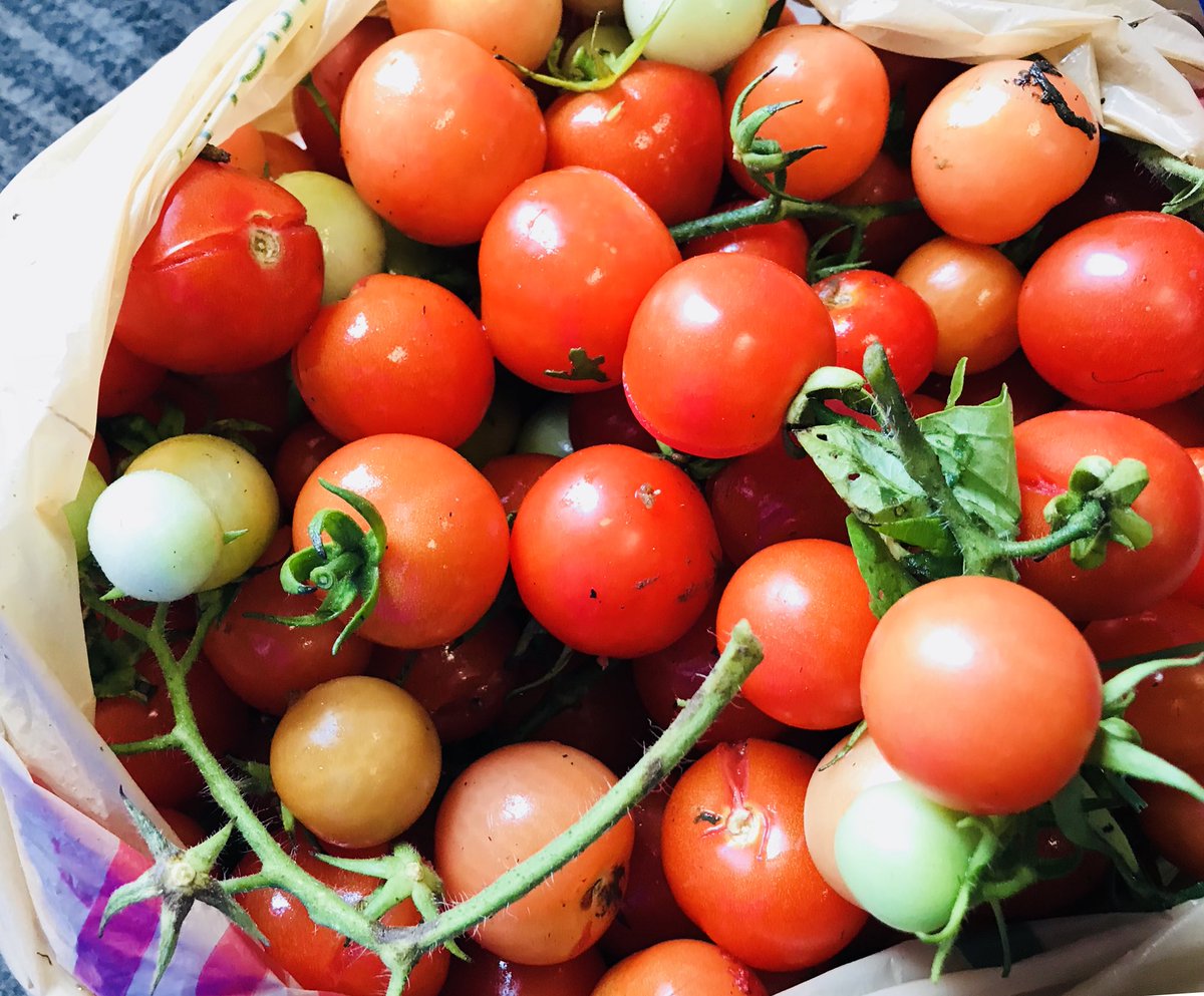 Dropping off some of our #fresh and #organic produce at @5n2Kitchens! The various vegetables and herbs will be used in many of the soup kitchen’s dishes this week!