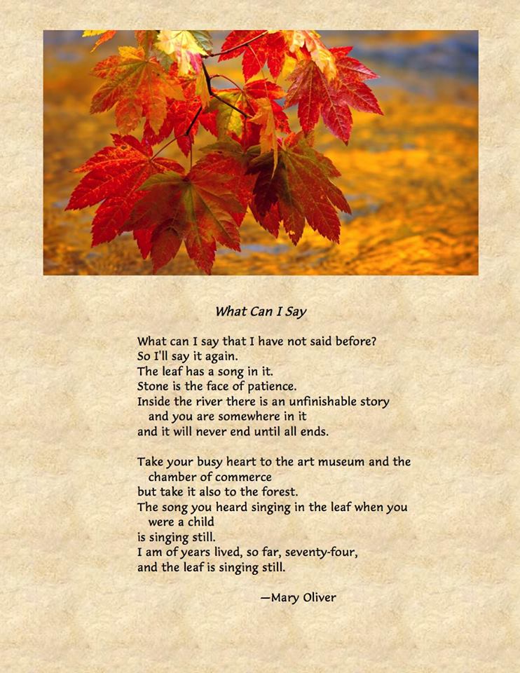 \"I got saved by poetry. And by the beauty of the world. Happy Birthday Mary Oliver! 