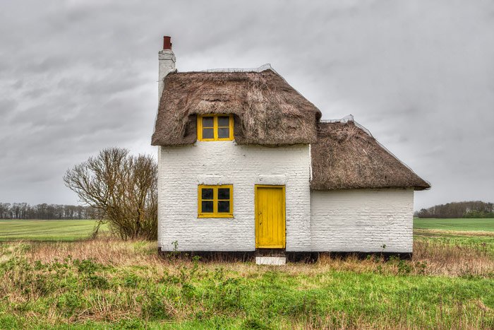 thorneypost tweet media