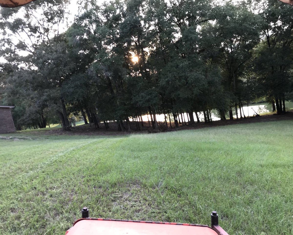 StuartPetersAU's tweet photo. A long week of #meetings #projects #talk It’s so good to have an opportunity to actually see work getting done!✅ That’s what I love about #yardwork you can instantly see the results! #workrewards https://t.co/KfrRbULC3N