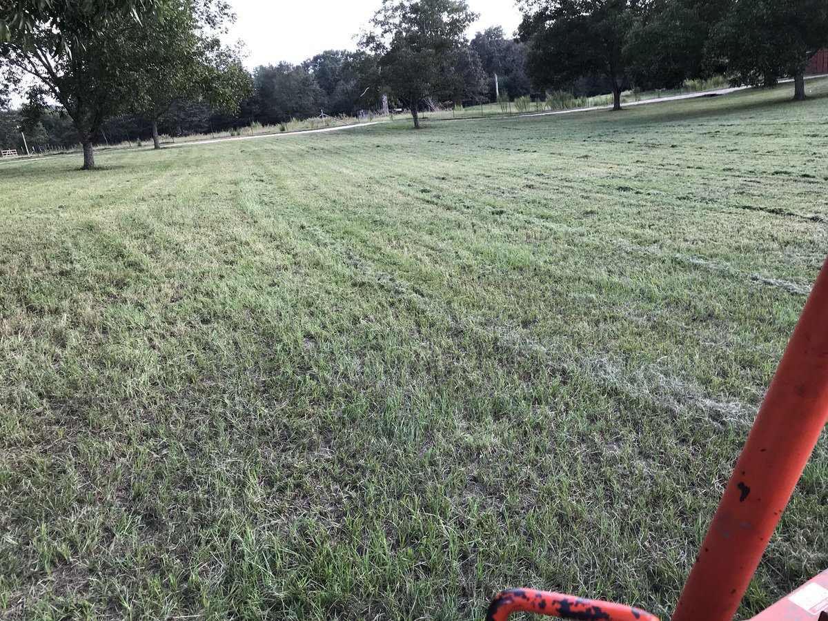 StuartPetersAU's tweet photo. A long week of #meetings #projects #talk It’s so good to have an opportunity to actually see work getting done!✅ That’s what I love about #yardwork you can instantly see the results! #workrewards https://t.co/KfrRbULC3N