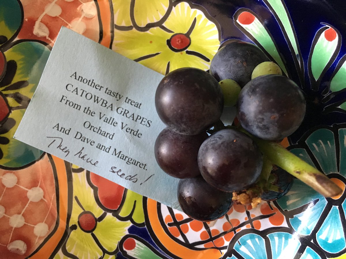 ValleVerdeSB's tweet photo. Grateful for Valle Verde’s many resident gardeners and our plentiful orchard! https://t.co/kwgpYaf7YW
