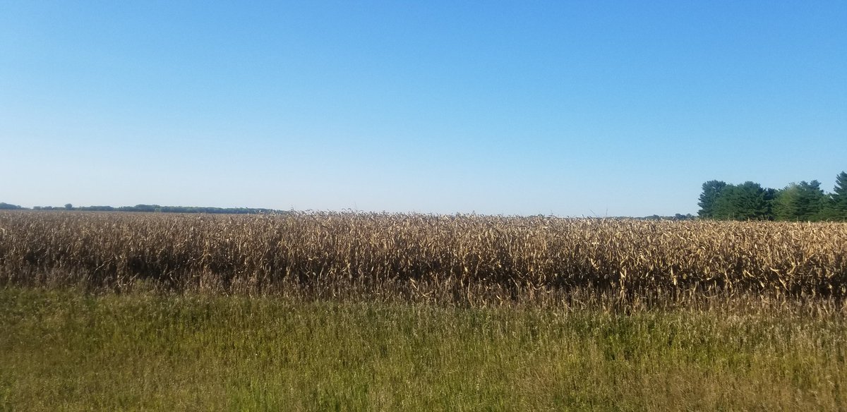 FarmrHuntr's tweet photo. Drove 572.8 miles round trip from SE to SW Iowa today and only saw 2 combines in the field. #harvest18. #readysetnotyet https://t.co/9s0VJIb432