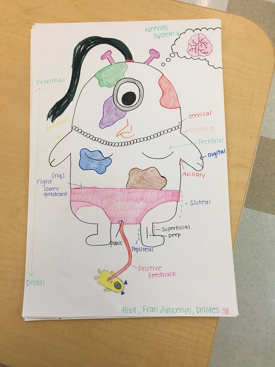 HewishNurse's tweet photo. Hard work in #CNA students being creative labeling body planes, regions, and directional terms. #teamwork #ctestrong #shouldabeenasenator https://t.co/W4AR8Ccpst