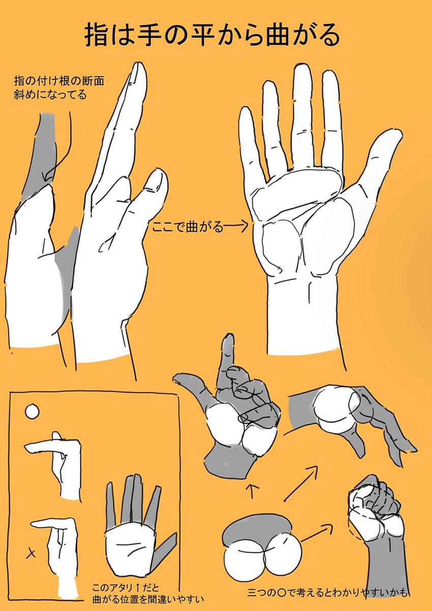 高原さと Satotakahara 個人的な手の構造のポイント 指は手の平から曲がる 手の平を三つの丸で考える 手のひらの根元の厚みをしっかり 指の凹凸は小さく全体の流れを捉える 指先 爪の形は個人差が大きい 2重関節のフィギュアを見ると関節を