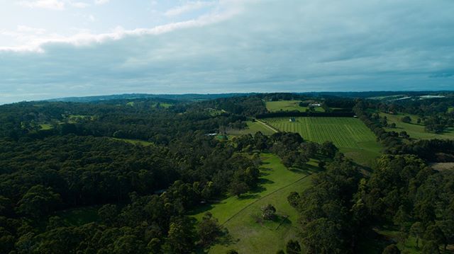 mockturtle1952's tweet photo. Main Ridge from above Baldry's Crossing #peninsuladronephotography #peninsuladrones #djiphantom4professional #djiphantom4 #djiphantompro #aerialphtotgraohy #dronephotography #mainridgevictoria #morningtonpeninsula #victoriaaustralia #victoriaaustralia https://t.co/RzpuKi6n6b https://t.co/xj3t5UDgIE