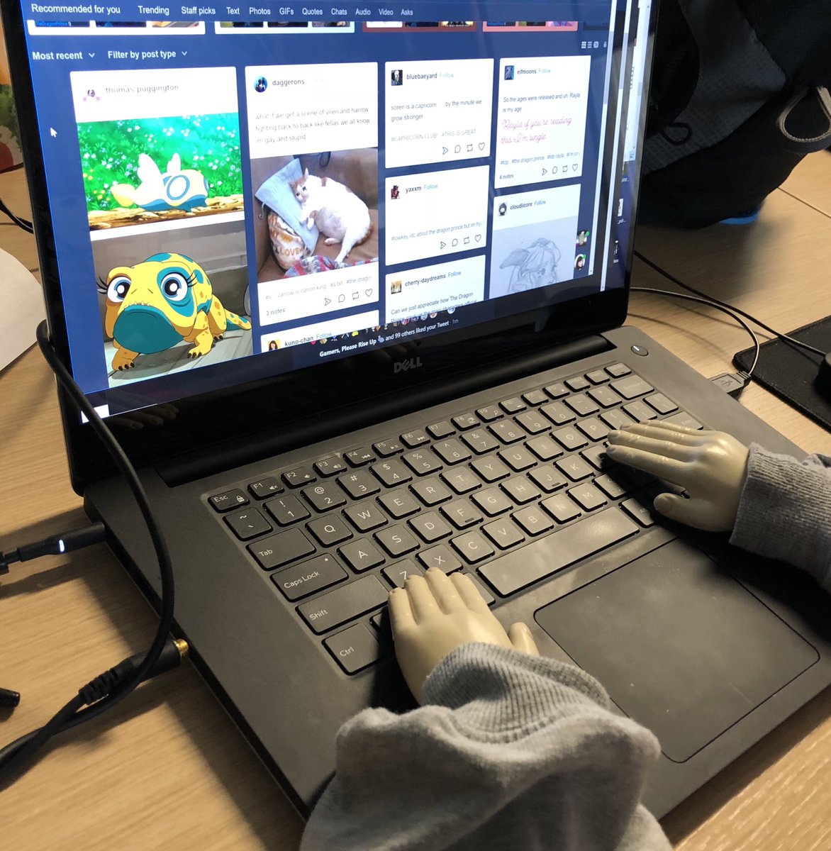 The Dragon Prince on Twitter "yeah jelly tarts are based off them