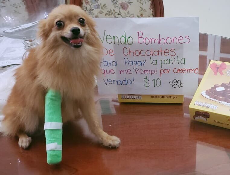 SuavesLomitos's tweet photo. no sabia ke era tan fragil https://t.co/xwoyOTcD1N