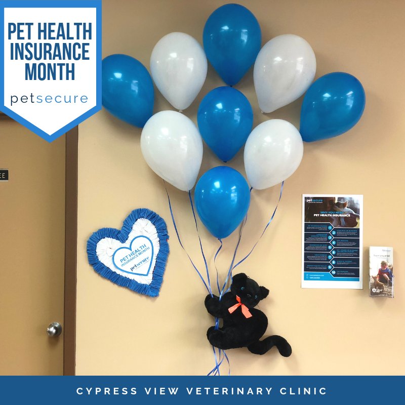 cypressviewvet's tweet photo. It's Pet Health Insurance Month! Help us celebrate this month by sharing your pet insurance stories. 🐱🐾🐶🎉🎊😇#petsecure #PetHealthInsuranceMonth #petsecure2018
@Petsecure https://t.co/WrLtIMHNIK