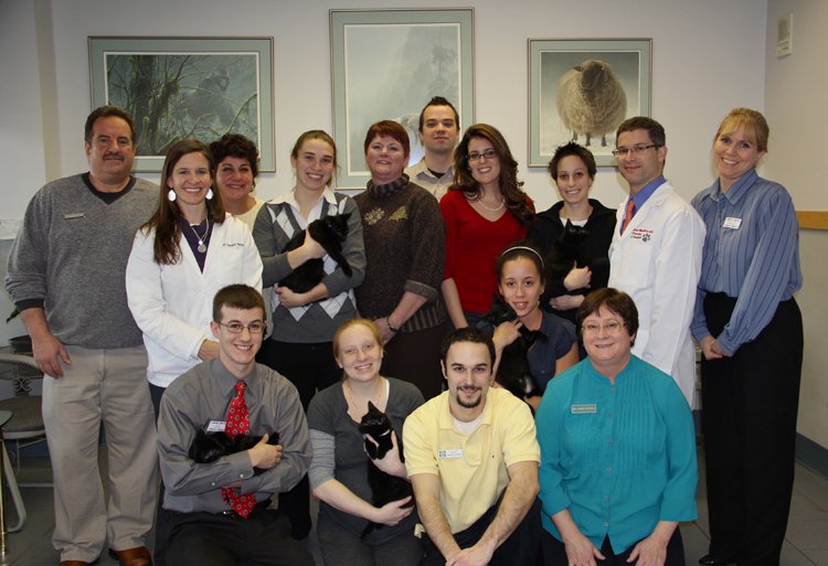 Community Veterinary tweet media