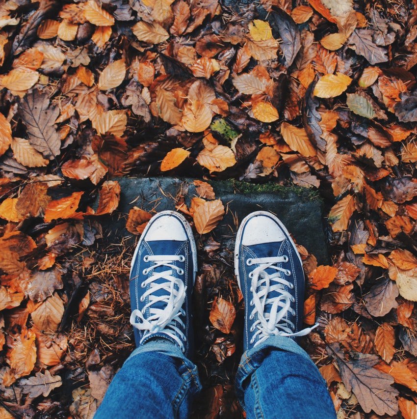 apparadigm's tweet photo. Pumpkin spiced lattes, cozy sweaters, falling leaves, orange and red hues, and autumn vibes… if you’re ready to soak up the fall weather, click that little “Like” button! (Because we’re SO ready for it too!) 🍂🍁 #Autumn #ModernTravel #Apparadigm https://t.co/6LYJICXXO3