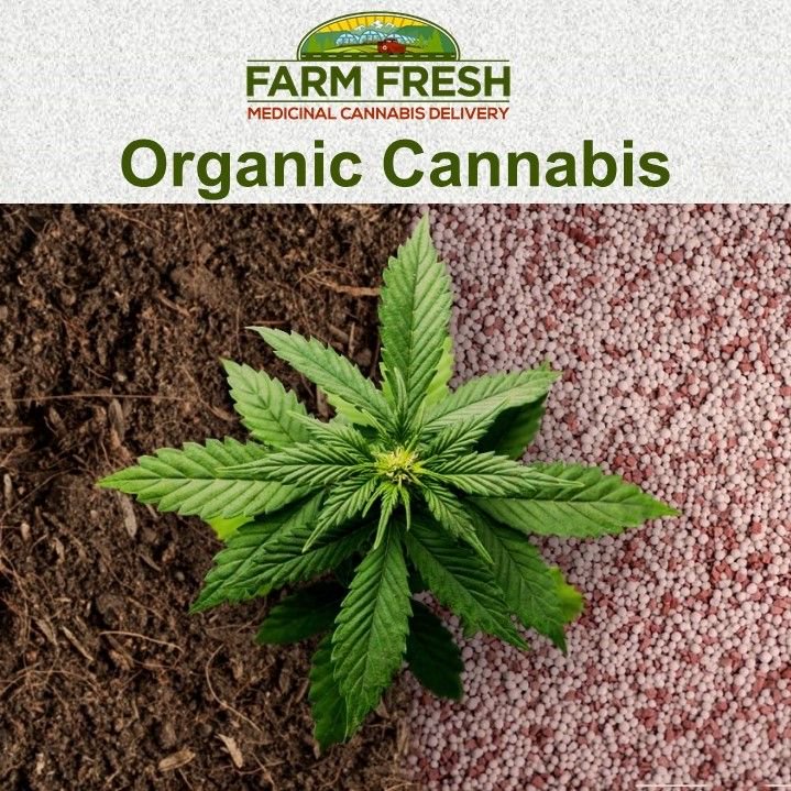 Our Cannabis is 100% Organic! Grown under the sun in Living Soil with no added supplements, no pesticides, no herbicides, no fungicides! Just a natural micro-chasm of microorganisms nourishing the plants as Mother Nature intended. #farmfreshmmd #organiccannabis #organicmarijuana