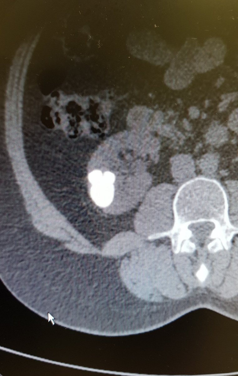 Fabio Vicentini 🇧🇷 tweet media