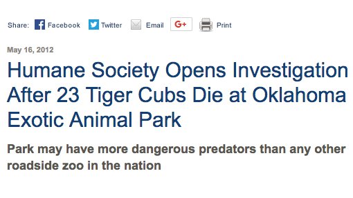 florida man on twitter here are 4 more stories about joe exotic that made it into the news over the last few years how is this guy a real person https t co o0sgrtm5ce joe exotic