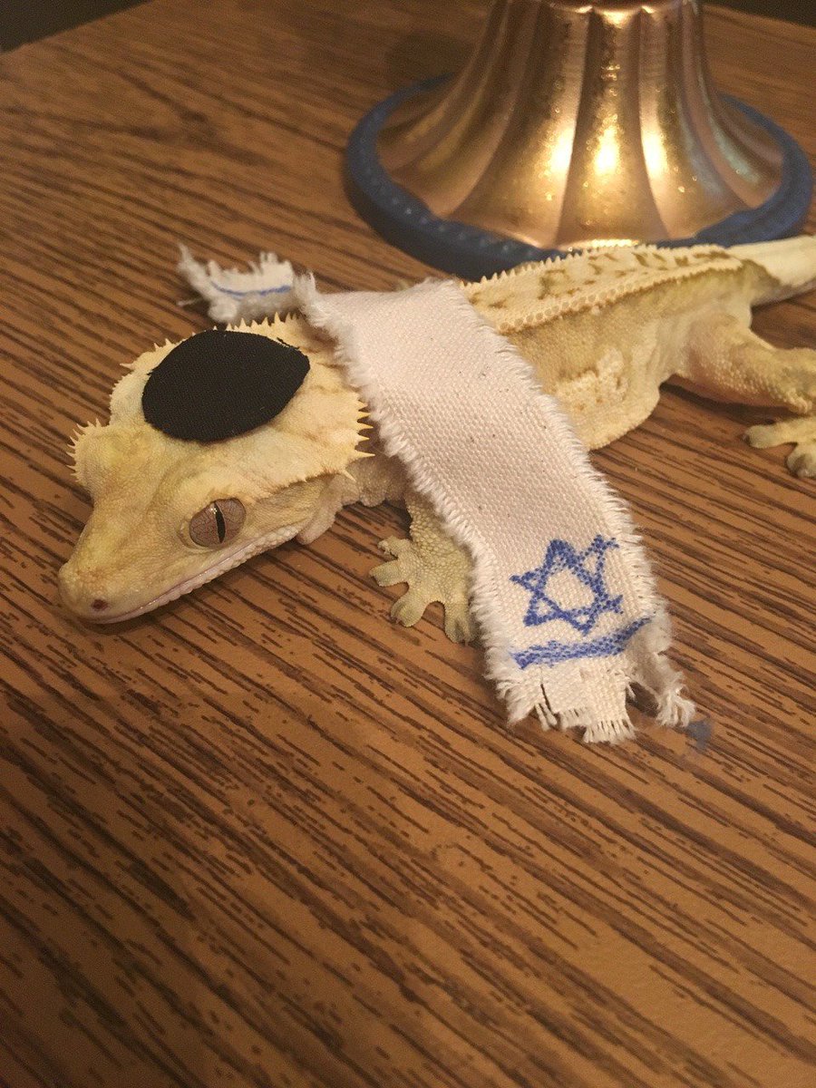 L'shana Tova! You've been visited by Rosh Hashanah gecko, retweet for a prosperous year!