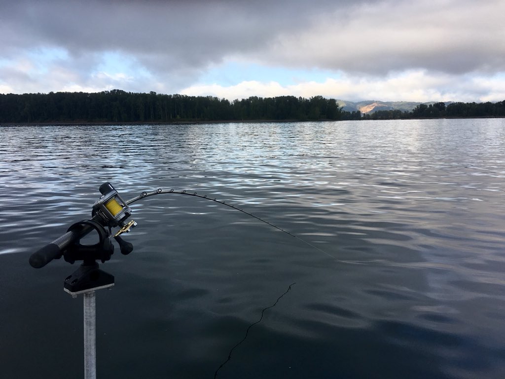 ommponline's tweet image. Thank you @meyerproinc and Black &amp;amp; Gold for supporting the museum! #oregon #military #museum