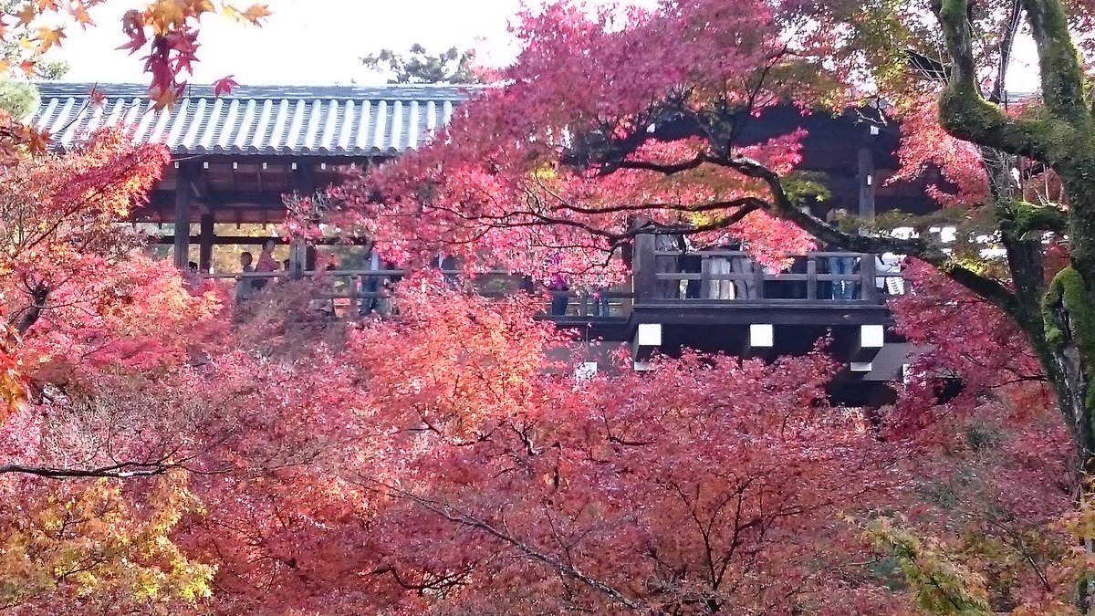 中村家 No Twitter 少し早いけど パソコンは秋の壁紙に変えてみました 紅葉は2年前の東福寺