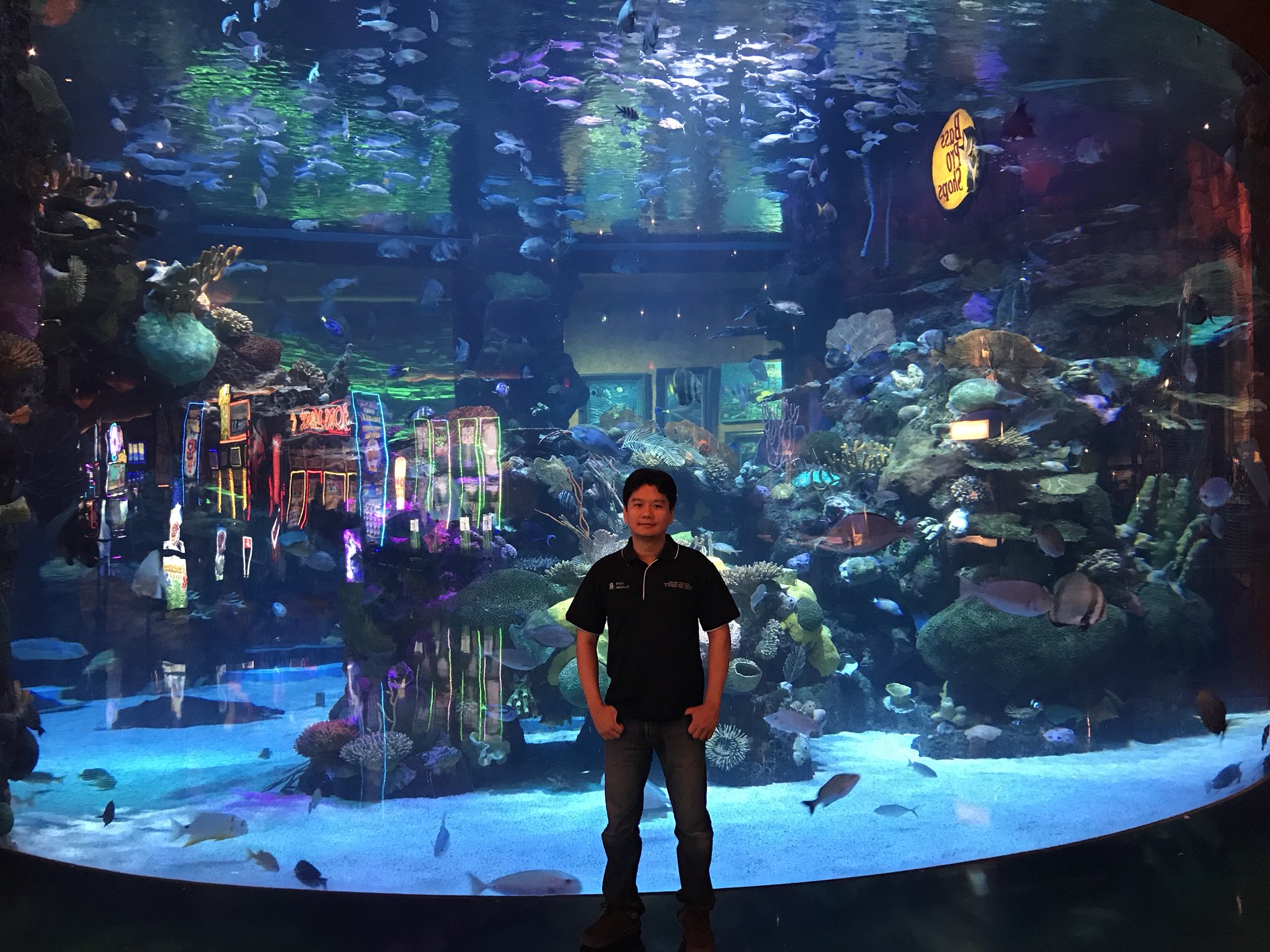 Gárgaras lineal miel Reef Anabolics on Twitter: "This system is absolutely amazing! If you're  ever in Las Vegas, check out the Silverton Casino which is home to this  outstanding 117,000-gallon reef aquarium! #macna2018 #lasvegas #coral #