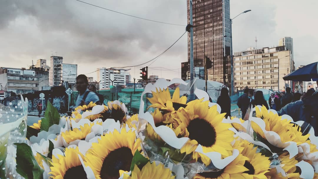 moisomedrano's tweet photo. Es #BogoSol y sus versiones https://t.co/a0jNoGwsVN