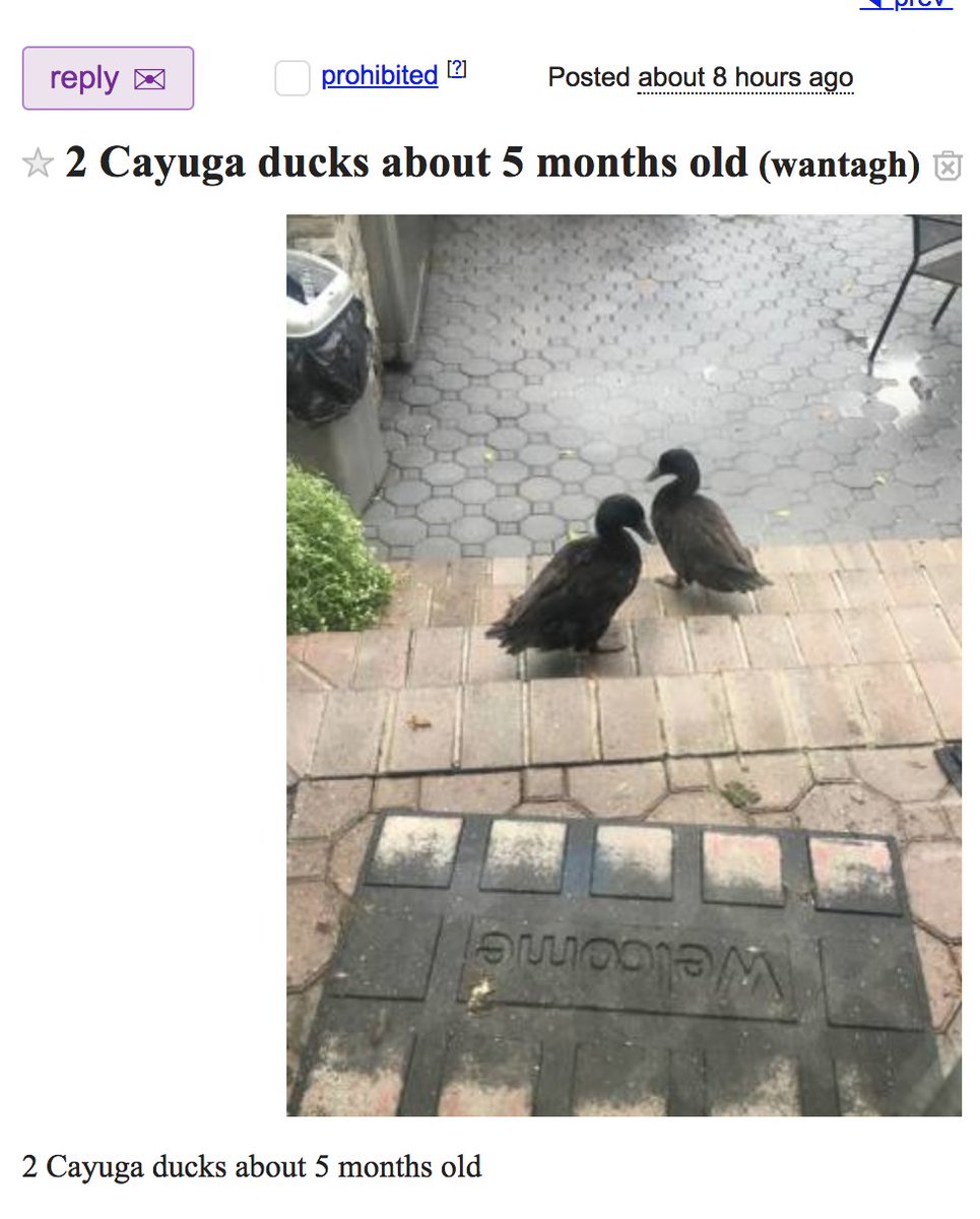 Dustytoast On Twitter Free Stuff Craigslist Is A Social Network For The Best People Aspirational Recyclers