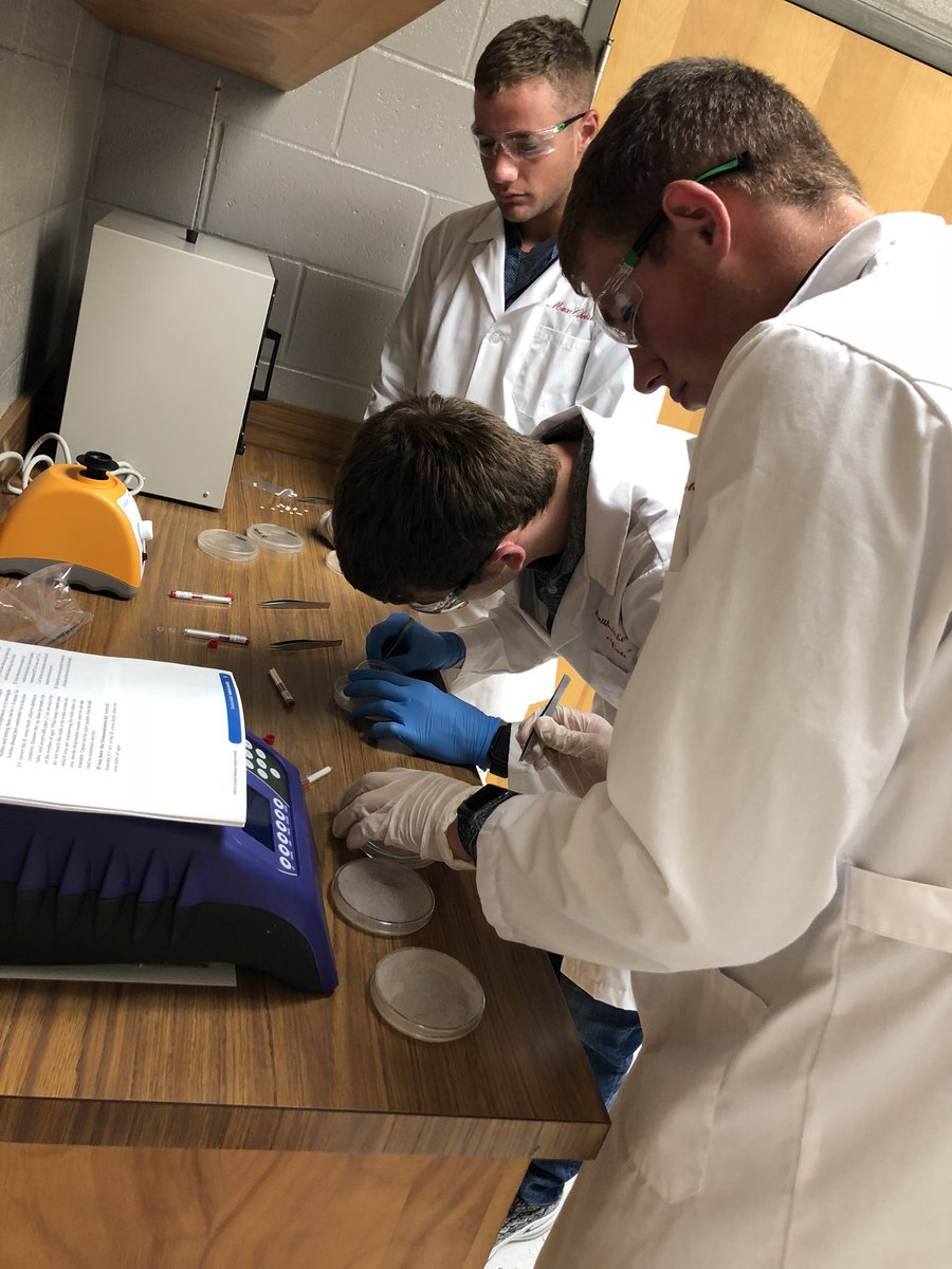 XmasLHS_Science's tweet image. A future geneticist, dermatologist, physical trainer, diabetologist, and nurse practitioner are doing some antibiotic research in their medical interventions course today. #LionPride #preparingourfuture #PLTW