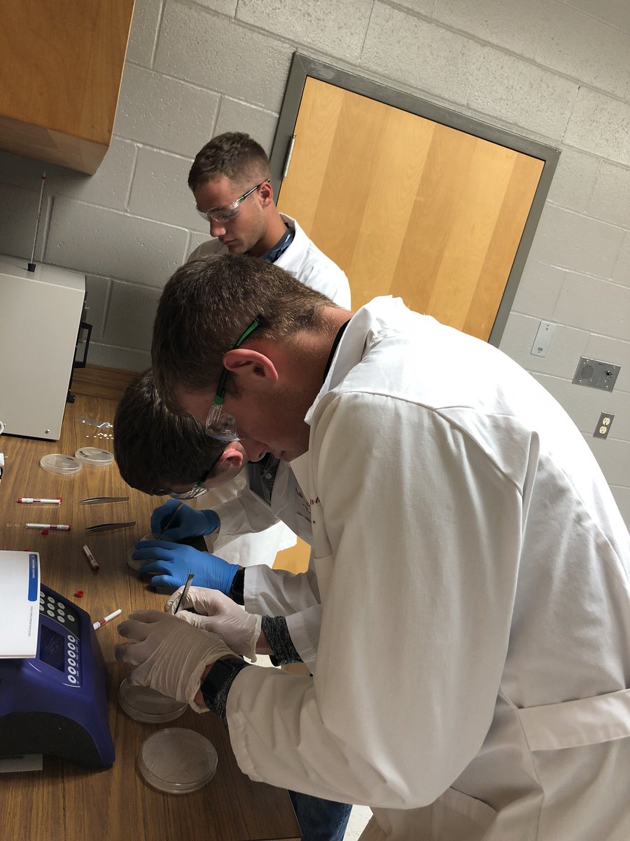 XmasLHS_Science's tweet image. A future geneticist, dermatologist, physical trainer, diabetologist, and nurse practitioner are doing some antibiotic research in their medical interventions course today. #LionPride #preparingourfuture #PLTW