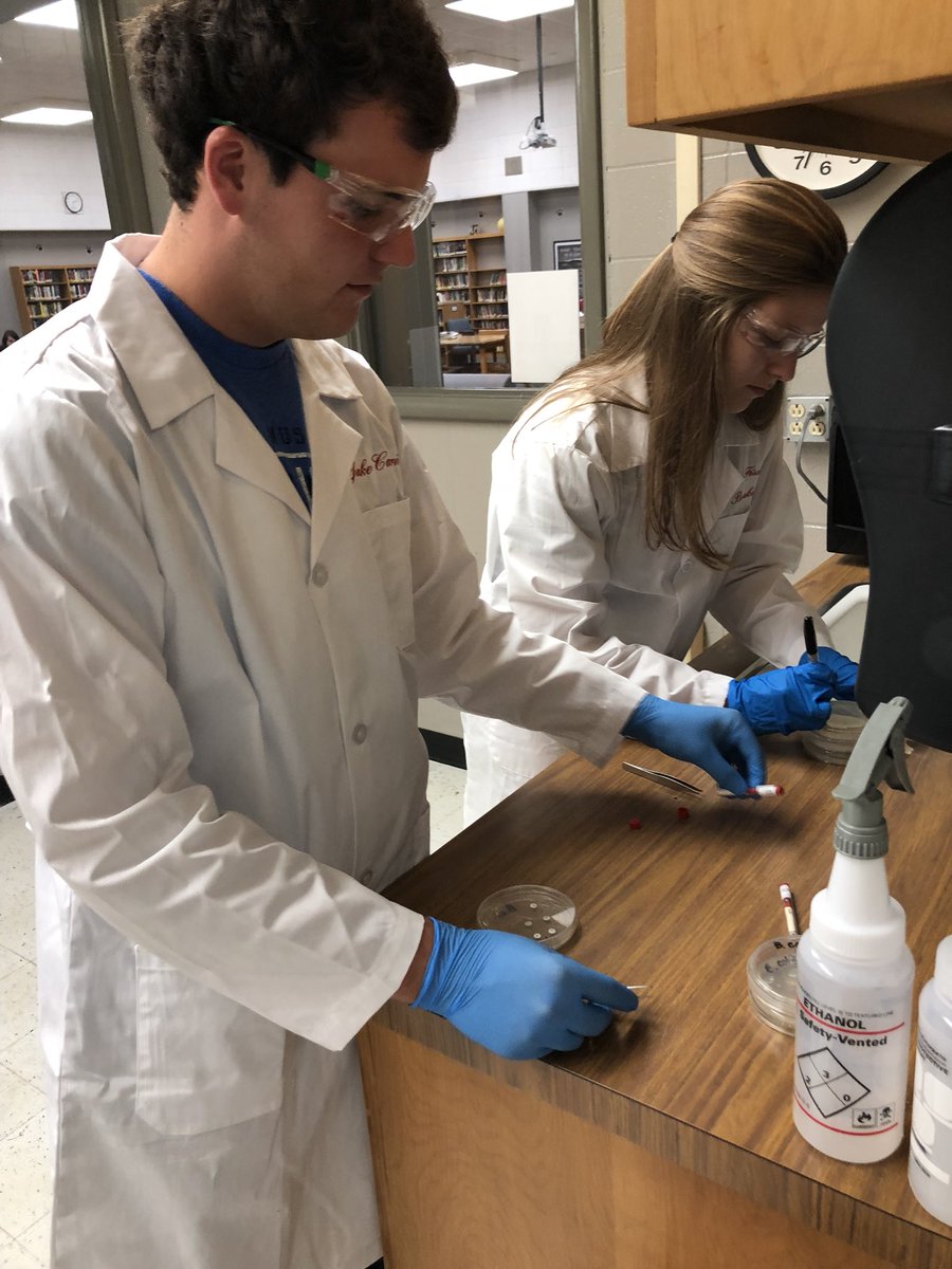 XmasLHS_Science's tweet image. A future geneticist, dermatologist, physical trainer, diabetologist, and nurse practitioner are doing some antibiotic research in their medical interventions course today. #LionPride #preparingourfuture #PLTW