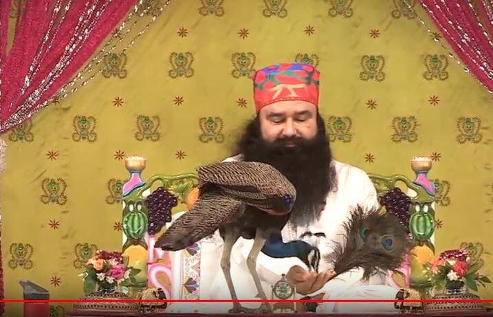 sunainachopra08's tweet photo. Volunteers of @derasachasauda are inspired to keep water and food for birds on their roof of houses. Saint @Gurmeetramrahim ji is a defination of humanity, who not only shows sympathy towards human but also animals and birds. #FeedBirdsSaysStMSG https://t.co/VlFMx4BagO