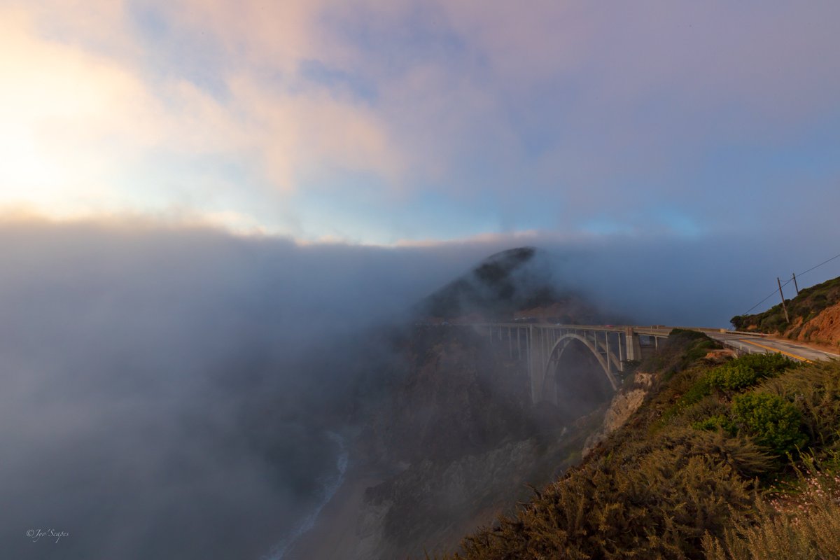 Jo_SNK's tweet photo. My twitter on some days.

Since visibility is next to nil, and I anyway cannot see beyond a few feet ahead of me, I focus on the non-descript flowers in front of me and enjoy the beauty of the colorful clouds going right over my head.😂😂😂😂😂

#jyoscape #fogscape #bixbybridge https://t.co/lSEArqlLxi