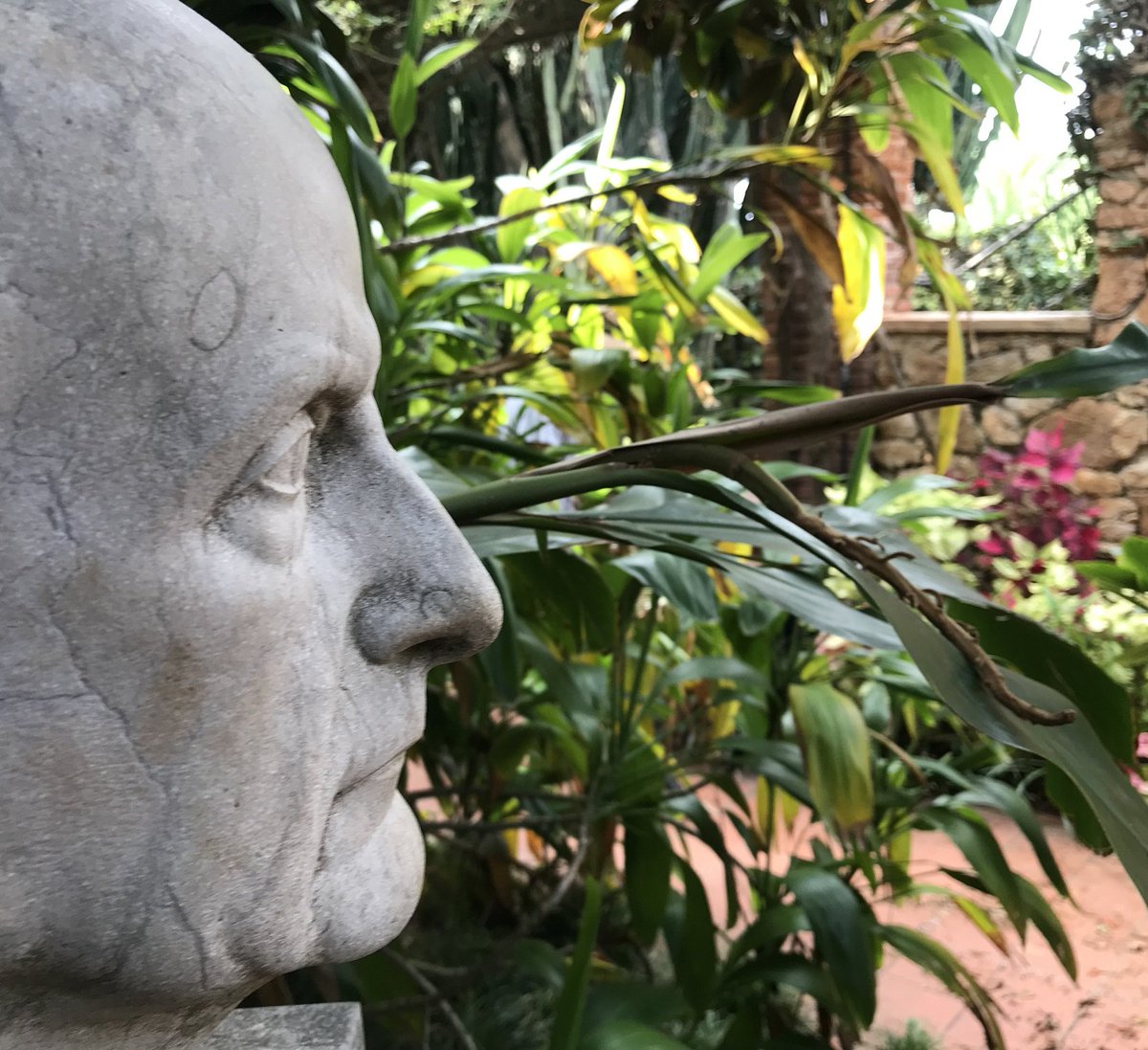 MarimurtraJardi's tweet photo. Fa 100 anys que Carl Faust va comprar els primers terrenys de #Marimurtra. + Info a https://t.co/lemxofk6HT 🌿
#carlfaust #marimurtra #marimurtrabotanic #jardibotanicmarimurtra #costabrava #blanes #fundaciocarlfaust #botanic #botanicalgarden #jardibotanic https://t.co/BwBDmR4vQP