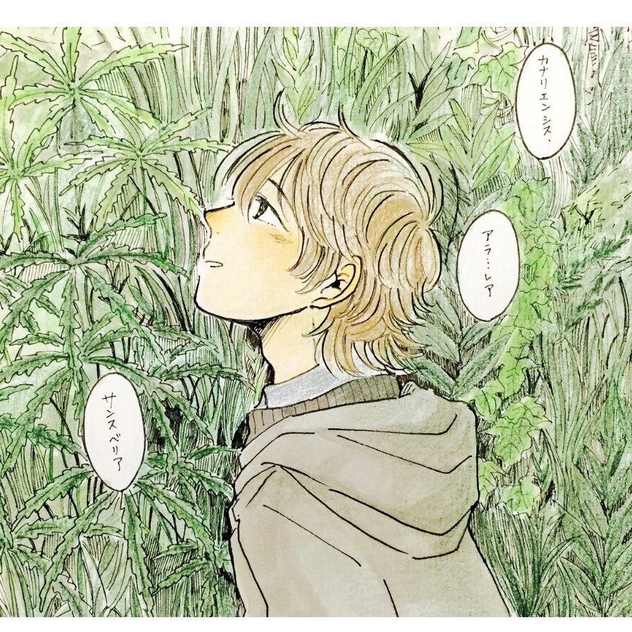 雨野 サン サムタイムズ ブルー連載中 ちなみに今回のサークルカットはずっと前に描いたやつ 植物園で植物の名前 を読んでる風間くん 風間くんは植物が似合う 部屋とかでナウシカみたいに観葉植物育ててほしい