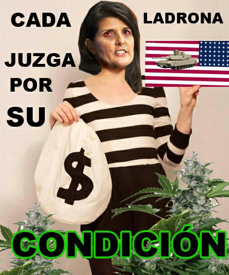 LaPatrona1986's tweet photo. Nikki Haley.... inventa otra... estas como Mari Cori Águila no caza  mosca  
#VenteEnLaCalle
Grupo de Lima 
Amnistía Internacional https://t.co/kkY6bWpNYy