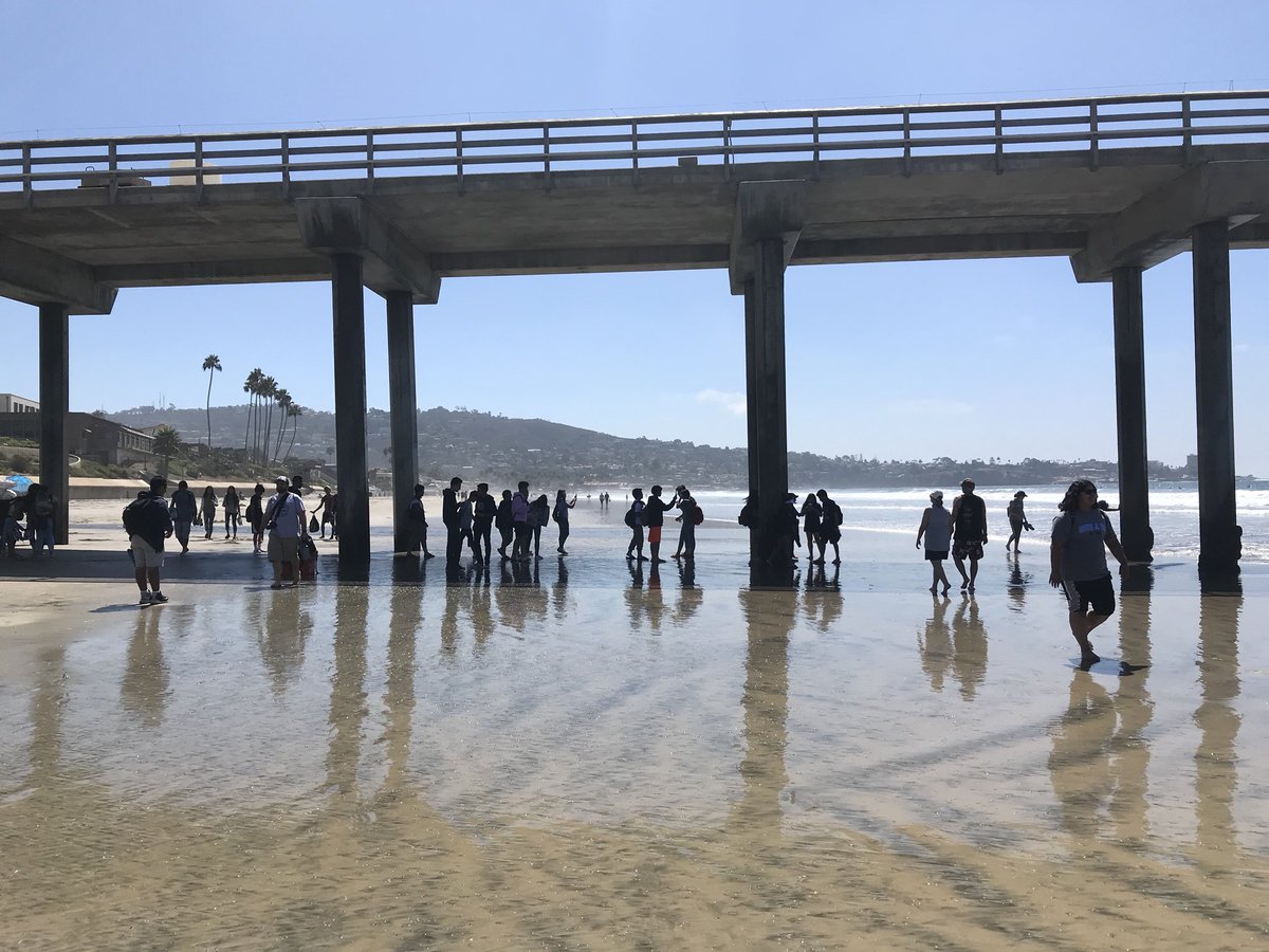 SeilerBiology's tweet photo. #grangergriffins on a field trip today learning all about marine ecosystems and how humans can better care for them 💛🐙🦑🦐🦀🐡🐠🐟🐬🐳🐋🦈🌊 https://t.co/B0aFjpkpsI