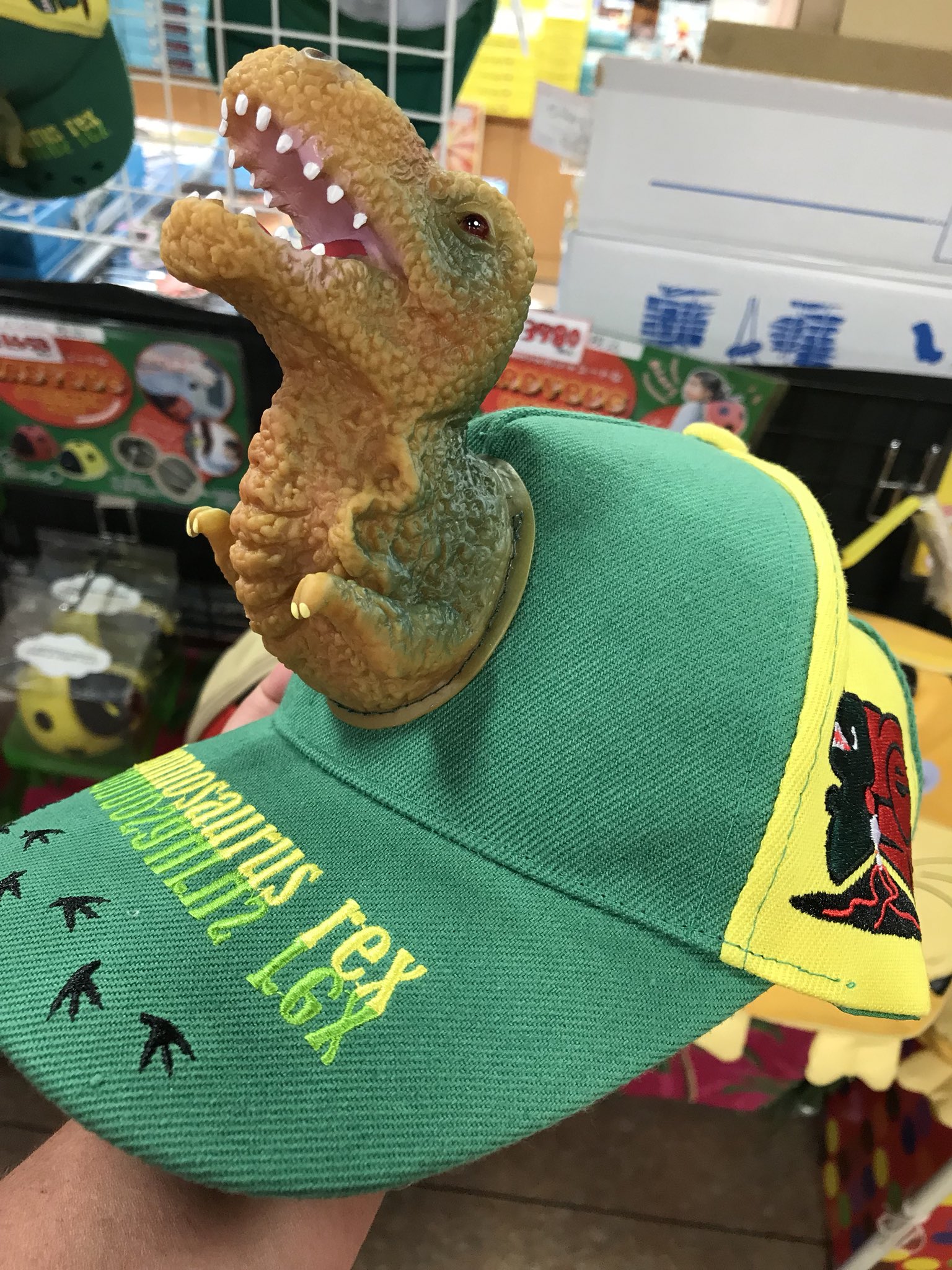しょうごくん この帽子 攻め過ぎやろっ 笑笑 インターお土産 福井恐竜博物館 T Co Mj3xazayi8 Twitter