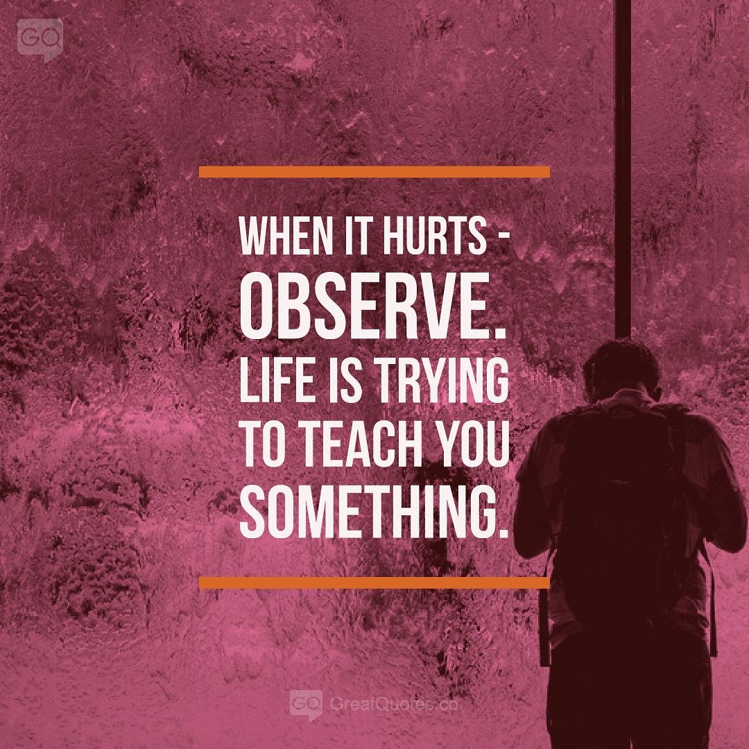 GreatquotesCo's tweet photo. Follow 👉 @GreatquotesCo

When it hurts - observe. Life is trying to teach you something. 

— Anita Krizzan

More @ https://t.co/5PTdbUouah

#workhard #lifequotes #life #react #character #attitude #quotes #observe #greatquotes #picturequotes #QOTD #positivequotes #greatquotesco https://t.co/vW3diKeUA0