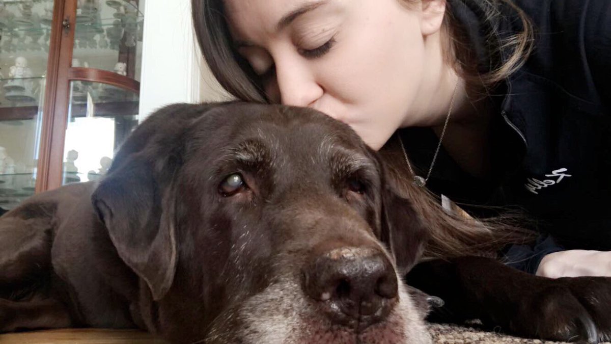 kel_tool's tweet image. Days like these make me miss my Sadie dog, I could really use her cuddles right about now