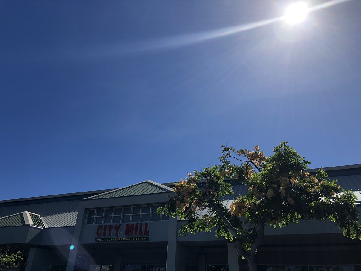 Hi_LifeJournal's tweet photo. まだ天気がすこぶる良いホノルル☀️ 明日の午後ぐらいから影響がで始めるとのこと。準備をしてください!
#ハワイライフ #ハワイの空 #イマソラ #空がある風景 #HurricaneOlivia #hawaii #hinolulu https://t.co/tCk27JaUim