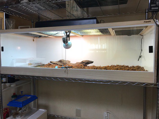 イエローヘッドモニター用のケージになります。 ケージサイズ外寸 幅