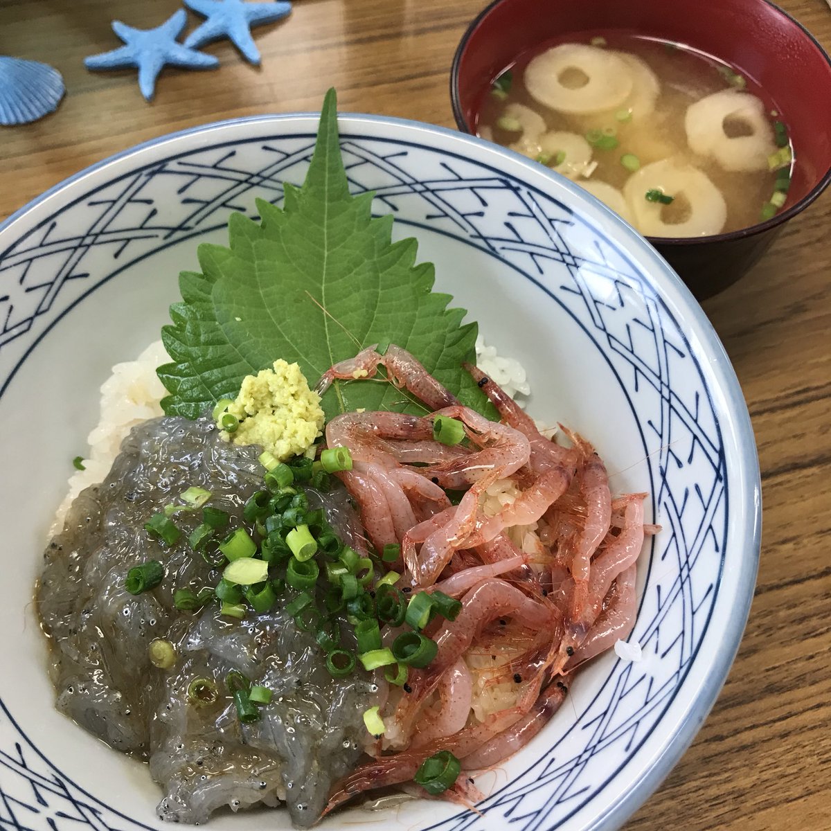 海野つなみ בטוויטר 生しらすと生桜えびの紅白丼食べたどん 初めて食べたけど美味しかったです ご当地名物は旅の楽しみですね