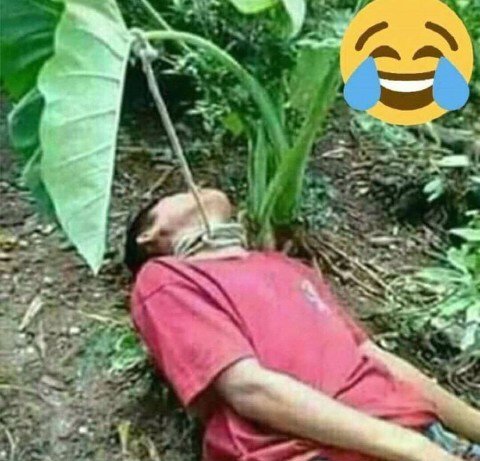 VersatileRSA's tweet photo. @ChristoThurston 😂😂😂😂😂 https://t.co/xF6SifL1N8