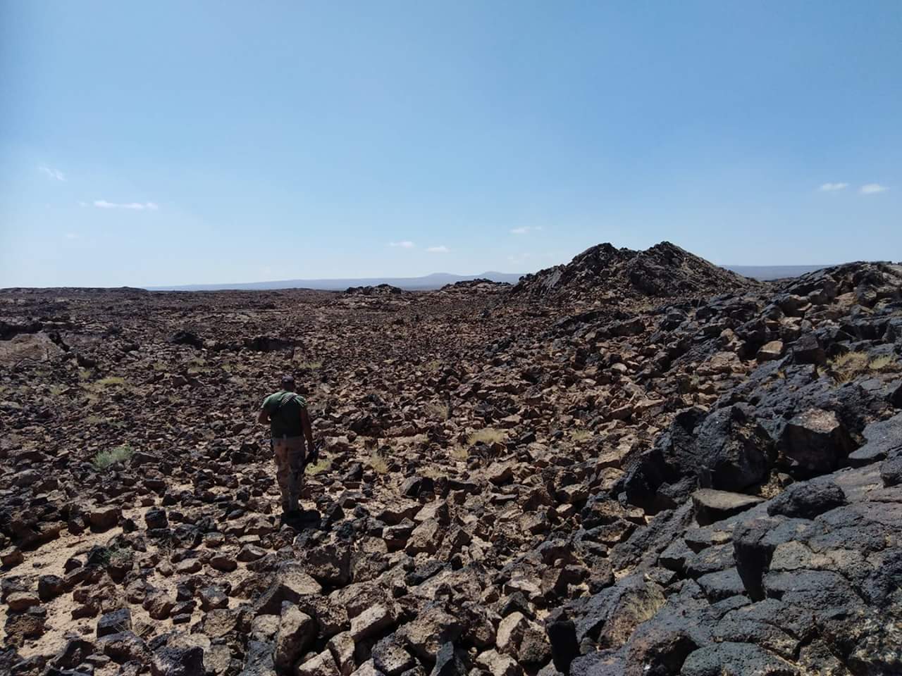 DmyNEtRXoAEl4mm.jpg:large