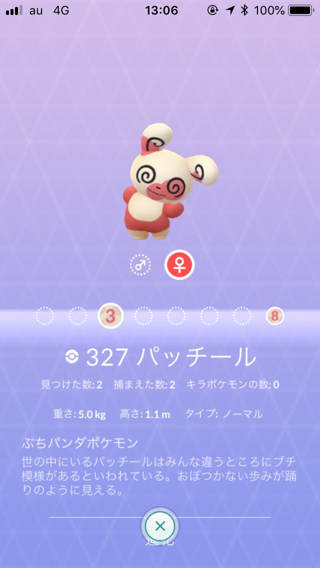 Sinpei Araki パッチール可愛い 酔いどれパンダ ポケモンgo