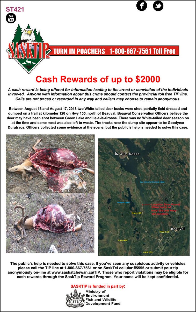 Sasktip's tweet image. Help protect Saskatchewan's natural resources and check out the latest unsolved cases from across the province on sasktip.com #sktip #turninpoachers #saskwildlife #saskfish