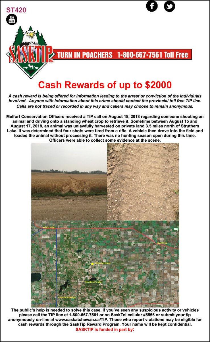 Sasktip's tweet image. Help protect Saskatchewan's natural resources and check out the latest unsolved cases from across the province on sasktip.com #sktip #turninpoachers #saskwildlife #saskfish