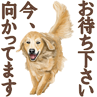 ゴールデンレトリバーのtwitterイラスト検索結果 古い順 ゴールデンレトリバーのtwitterイラスト検索結果 古い順
